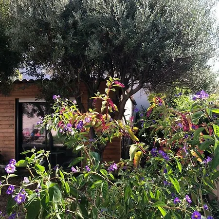2 Appartements Calmes Frejus Exterior photo