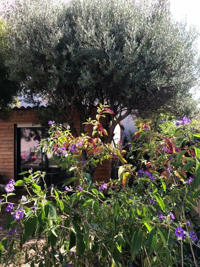 2 Calmes Frejus